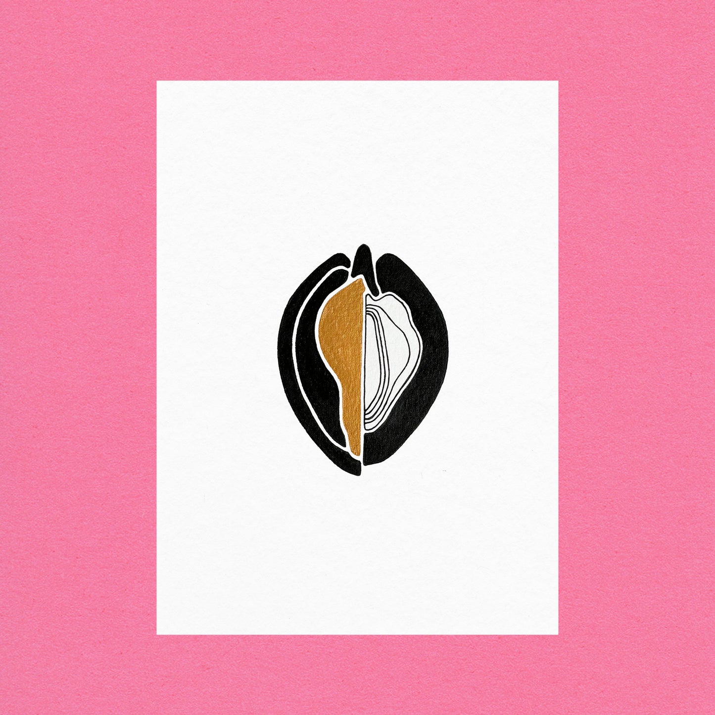 Venus Oysters Gold #3