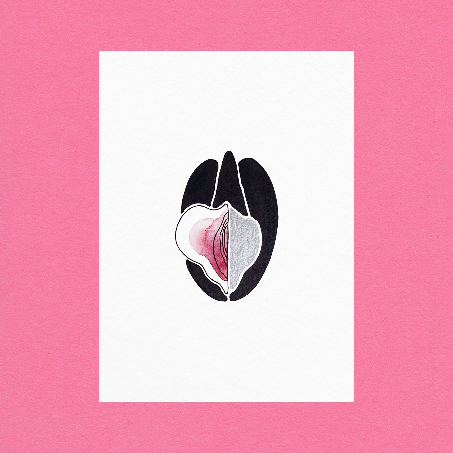 Venus Oysters Silver #6