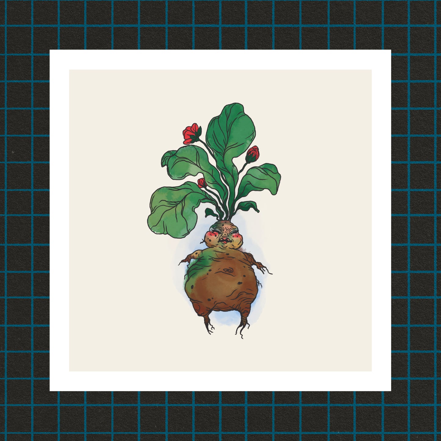 Print: Mandrake