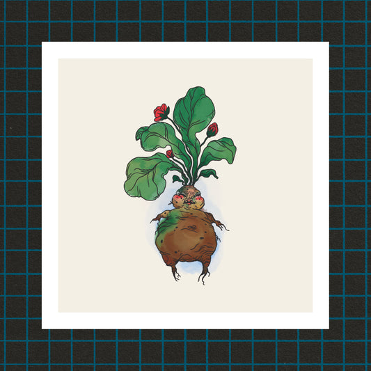 Print: Mandrake