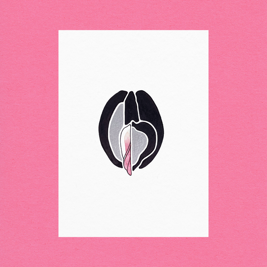 Venus Oysters Silver #8