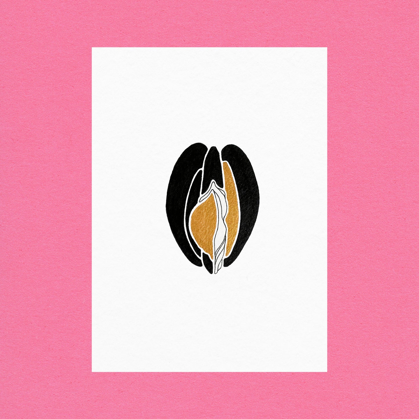 Huîtres Venus Or n°2
