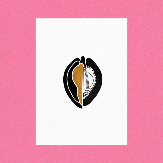 Venus Oysters Gold #3