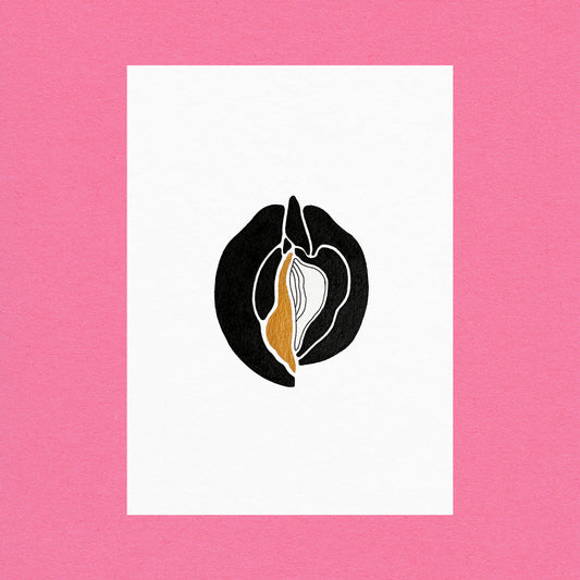 Venus Oysters Gold #5