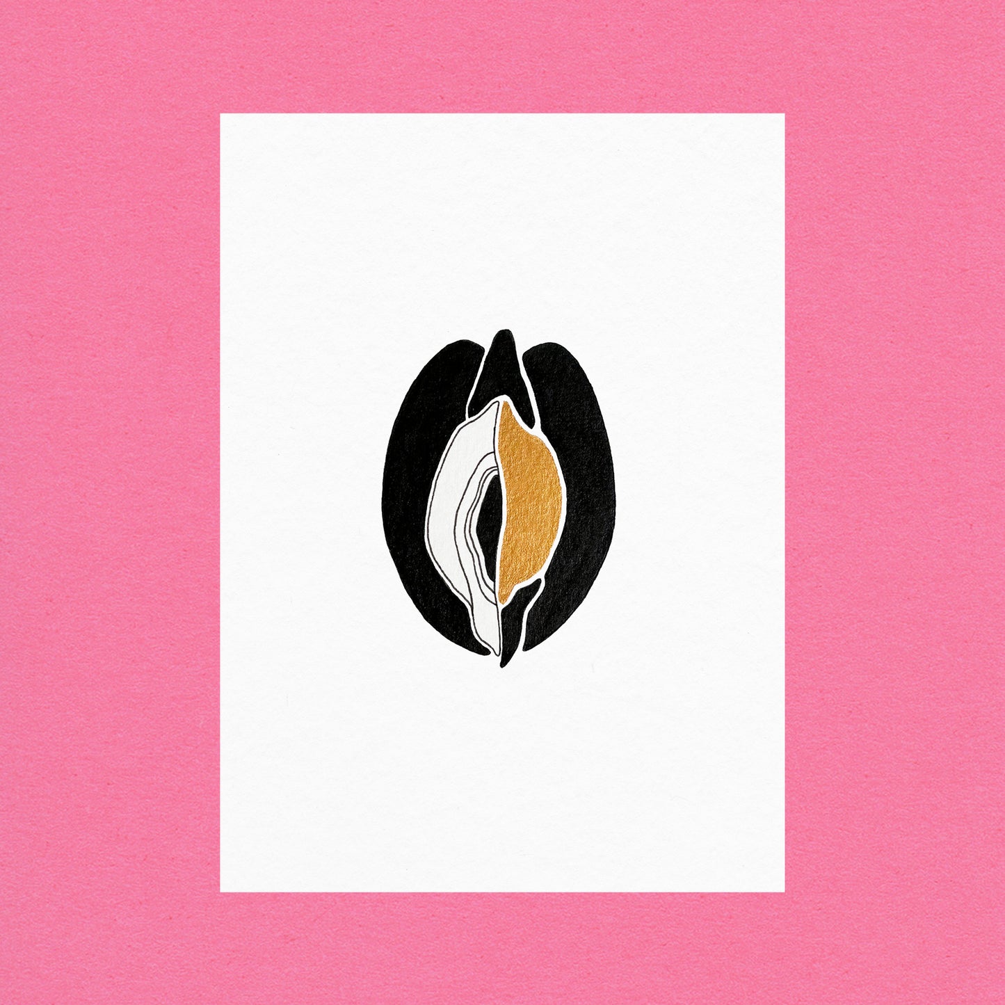 Venus Oysters Gold #6