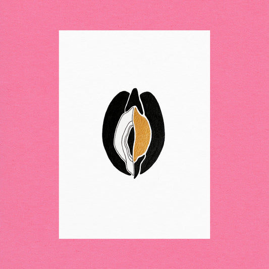 Venus Oysters Gold #6