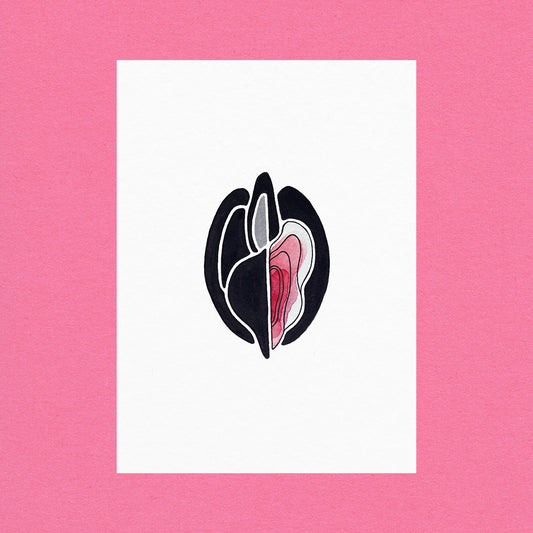 Venus Oysters Silver #2