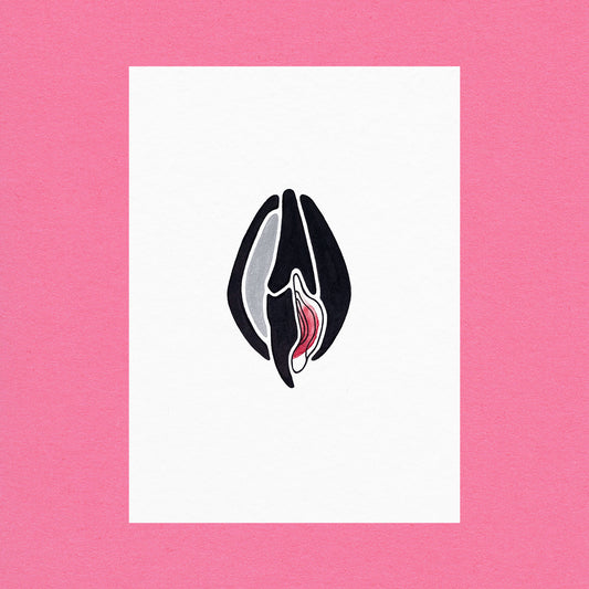 Venus Oysters Silver #9